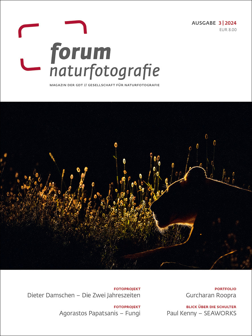 forum naturfotografie 3/2024
